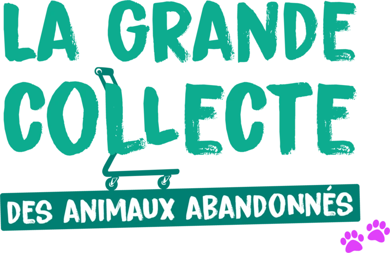 La Grande Collecte des Animaux Abandonnés